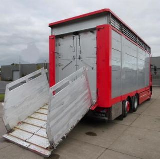 MAN TGA 26 350-CAMIONES GANADEROS