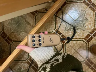 Cama Articulada Eléctrica Astral