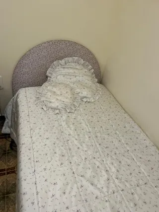 Cama Articulada Eléctrica Astral