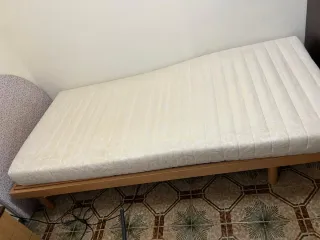 Cama Articulada Eléctrica Astral