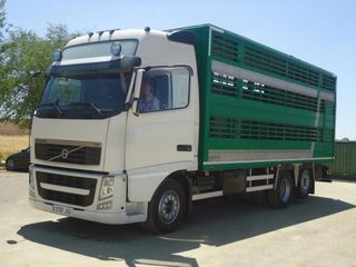 Volvo FH 480-CAMIONES GANADEROS