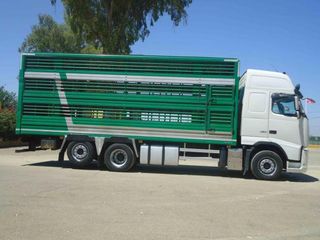 Volvo FH 480-CAMIONES GANADEROS