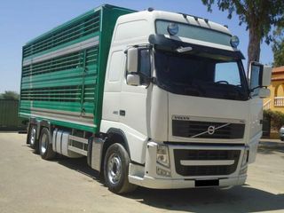 Volvo FH 480-CAMIONES GANADEROS