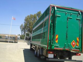 Volvo FH 480-CAMIONES GANADEROS