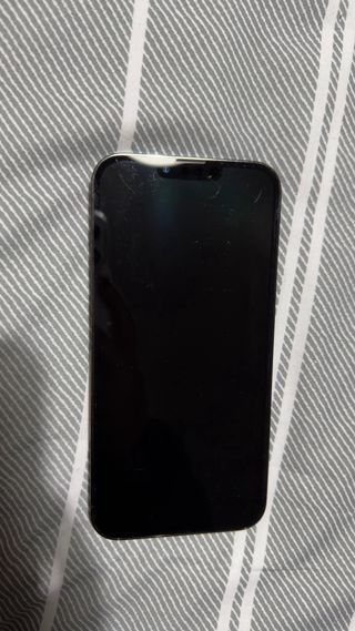 iPhone 13 Pro Max 256GB Gris