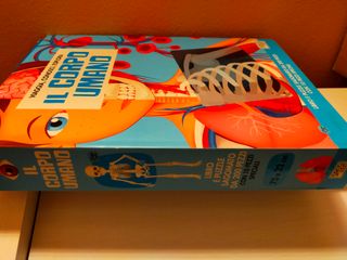 Puzzle corpo umano. Gioco con scatola-libro. Sassi