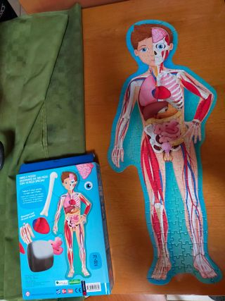 Puzzle corpo umano. Gioco con scatola-libro. Sassi