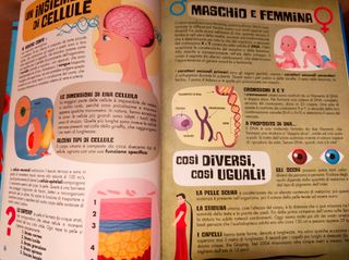 Puzzle corpo umano. Gioco con scatola-libro. Sassi