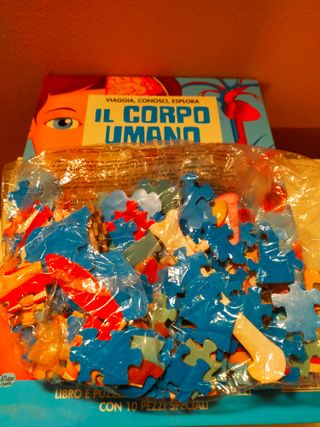 Puzzle corpo umano. Gioco con scatola-libro. Sassi
