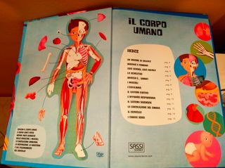Puzzle corpo umano. Gioco con scatola-libro. Sassi