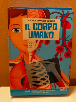 Puzzle corpo umano. Gioco con scatola-libro. Sassi