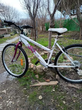 Bicicleta Montaña Blanca y Morada