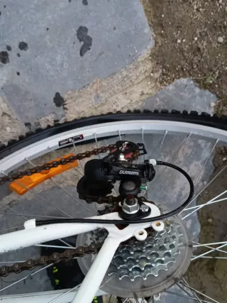 Bicicleta Montaña Blanca y Morada