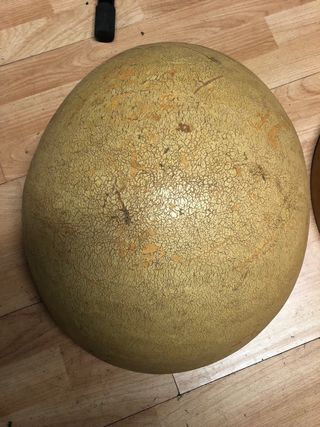 Calabazas Africanas para Música.