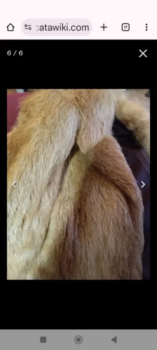 Chaquetón piel de zorro beige