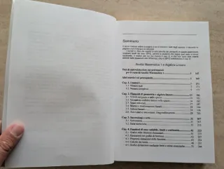 Esercizi di calcolo infinitesimale e algebra li...