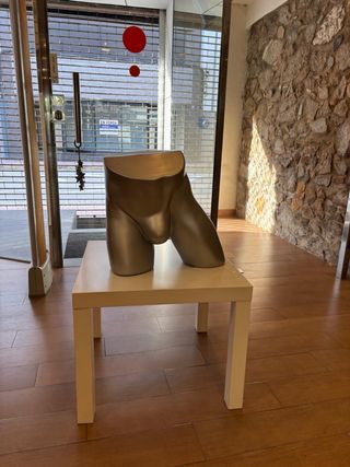 Maniquí Torso Hombre
