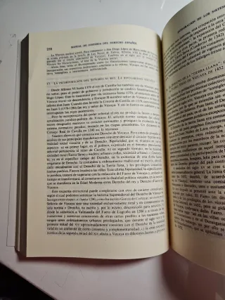 Manual de Historia del Derecho español (Spanish...