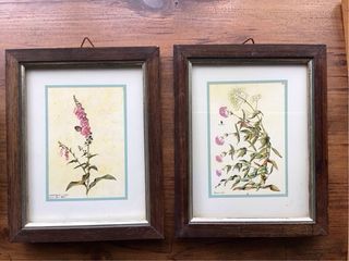 Dipinti floreali in miniatura