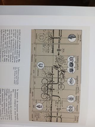 Viñas, bodegas y vinos de Navarra