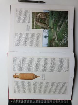 Viñas, bodegas y vinos de Navarra