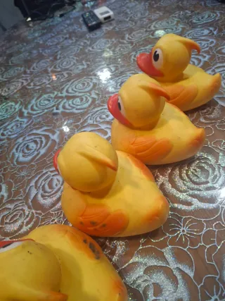 Lote 4 patos de feria a 17 €