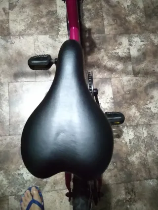 Bicicleta niña rosa. Tamaño 20".