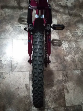 Bicicleta niña rosa. Tamaño 20".