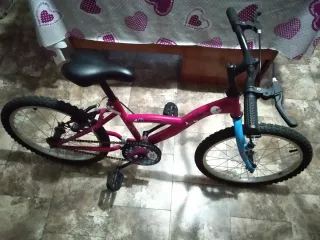 Bicicleta niña rosa. Tamaño 20".