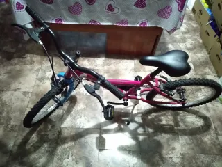 Bicicleta niña rosa. Tamaño 20".