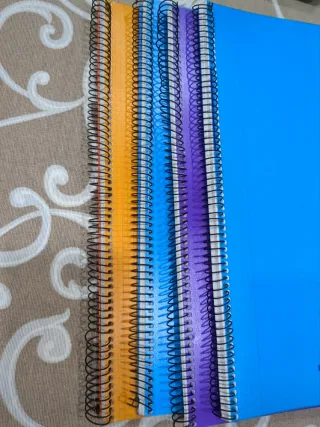 Lote 11 libretas folio espiral colores