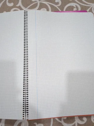 Lote 11 libretas folio espiral colores