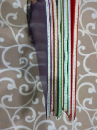 Lote 11 libretas folio espiral colores