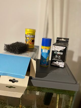 Acuario 20 litros con accesorios