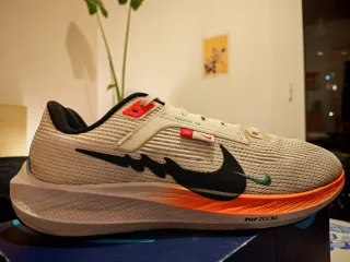 Nike Pegasus 40 "Year of the Dragon"collecion - 45