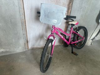 Bicicleta Infantil Rosa DTB