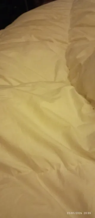 Edredón pluma y plumón pato 150x200cm beige