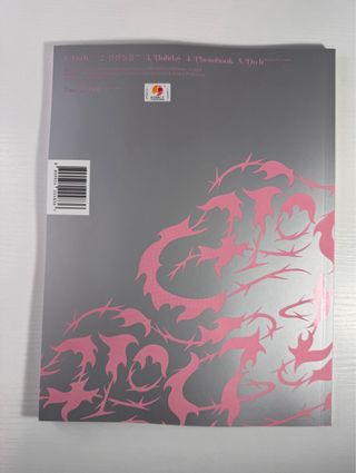 Stray Kids Do It (It ver) Álbum Completo