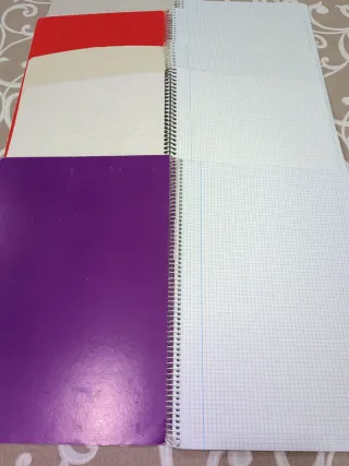 Lote 5 libretas tamaño folio