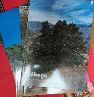 Revistas de la Diputación de Málaga "Jábega".