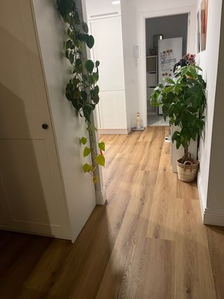 Suelo vinílico SPC hidrófugo AC5 68 m²