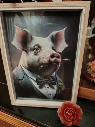 Gato y Cerdo Pajaritas