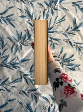 Divergente (Spanish Edition)