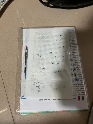 Rotuladores Dual Marker 108uds