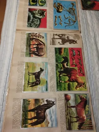 6 Álbumes MAGA: África, Asia, Ciencias, Soldados,.