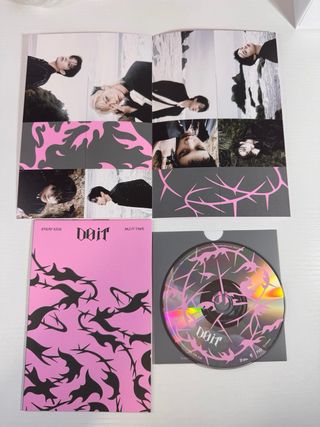 Stray Kids Do It IT ver album completo