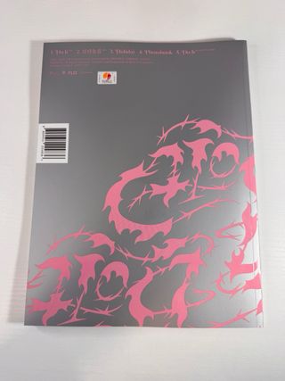 Stray Kids Do It IT ver album completo