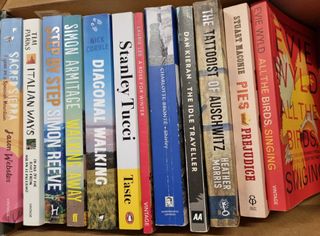 Lote de 12 libros en inglés