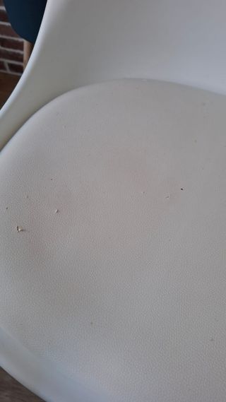 Juego de 4 sillas blancas