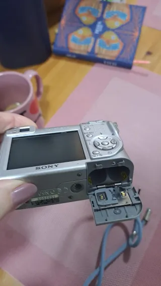 Camaras Digitales Sony y Panasonic